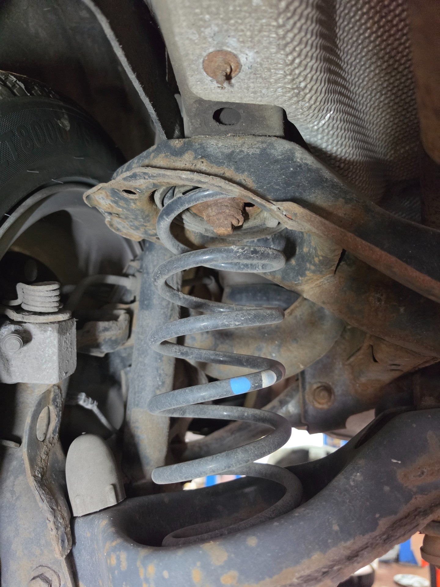 Sprężyny tylnej osi - FORD FOCUS III