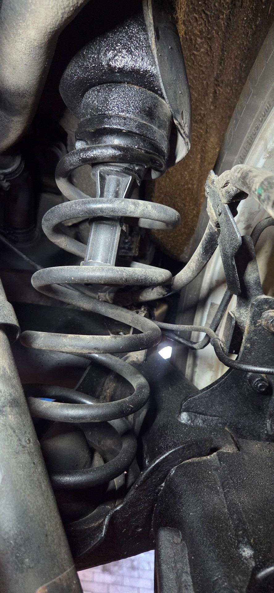 Sprężyny tylnej osi - NISSAN QASHQAI II