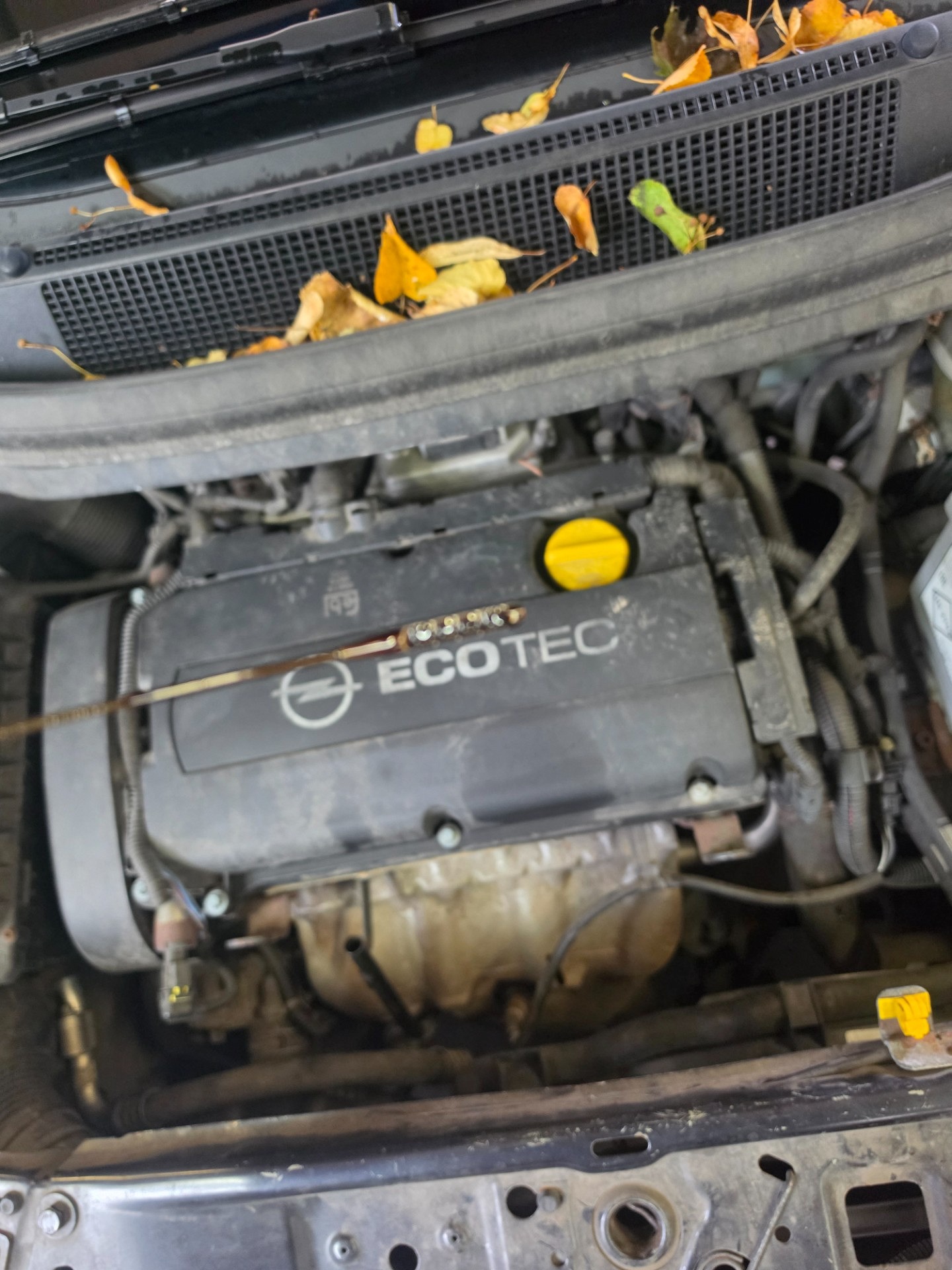 Poziom oleju silnikowego - OPEL ZAFIRA / ZAFIRA FAMILY B