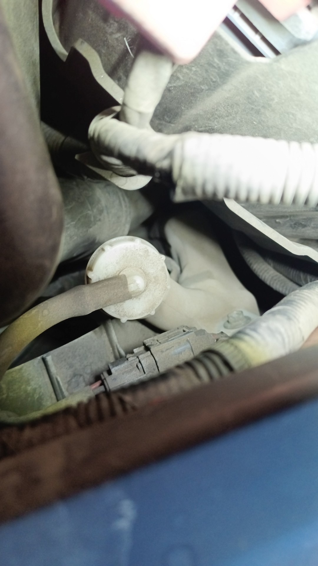 Poziom płynu chłodniczego - HONDA CIVIC IX