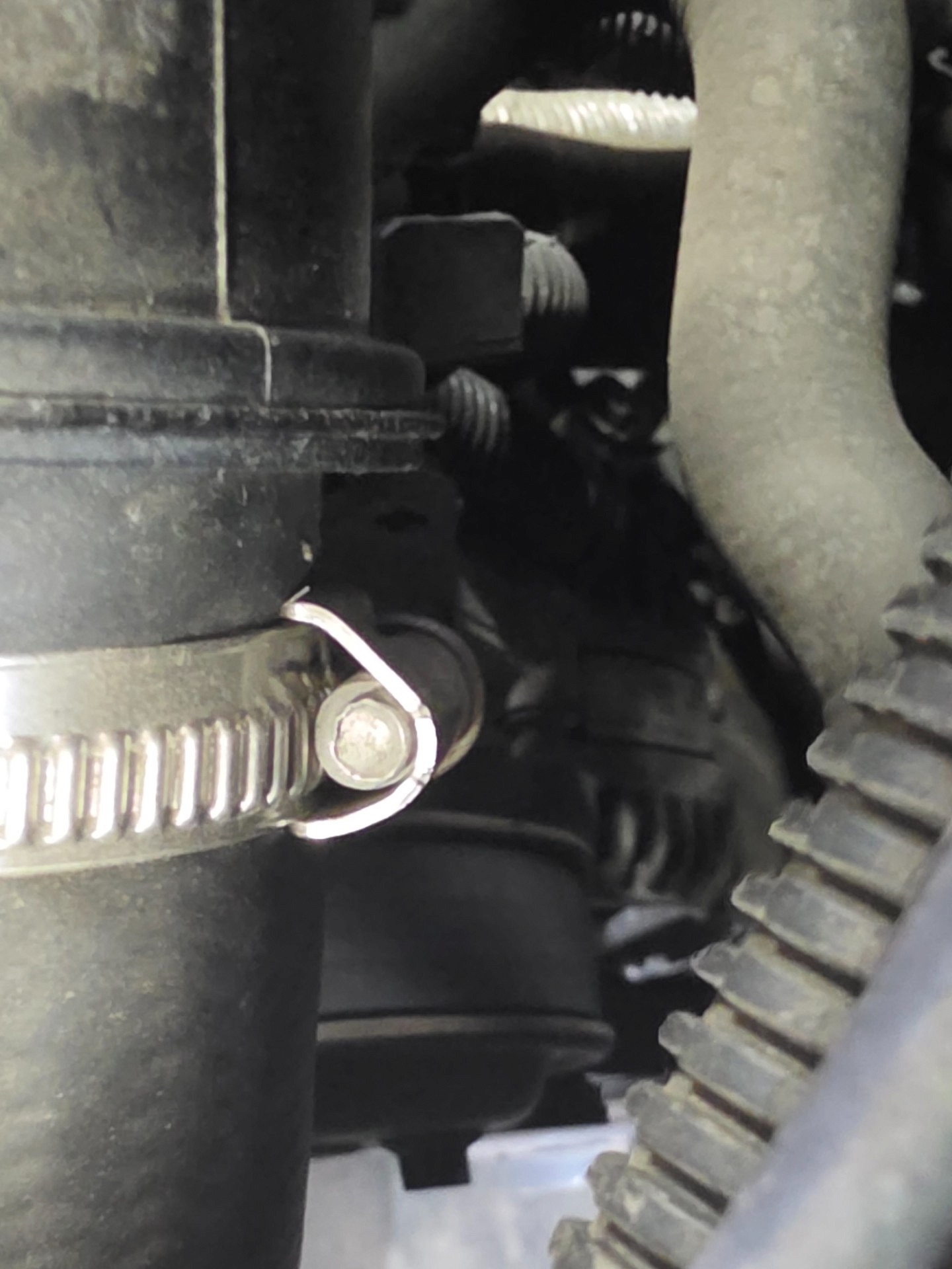 Ocena układu klinowego - FORD FOCUS III